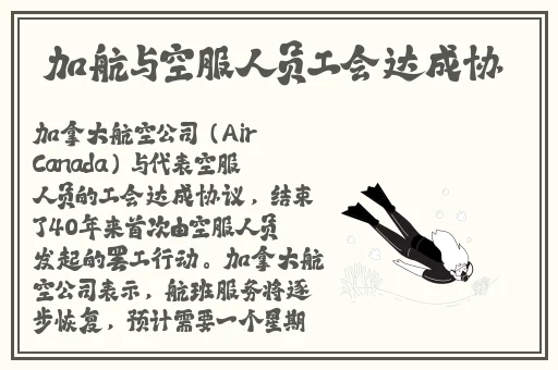 热心的朝阳群众51cg4fun